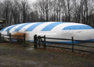 Φουσκωτό Bubble Pool Dome Σκηνή για Διαφορετικό Σχήμα Πισίνας